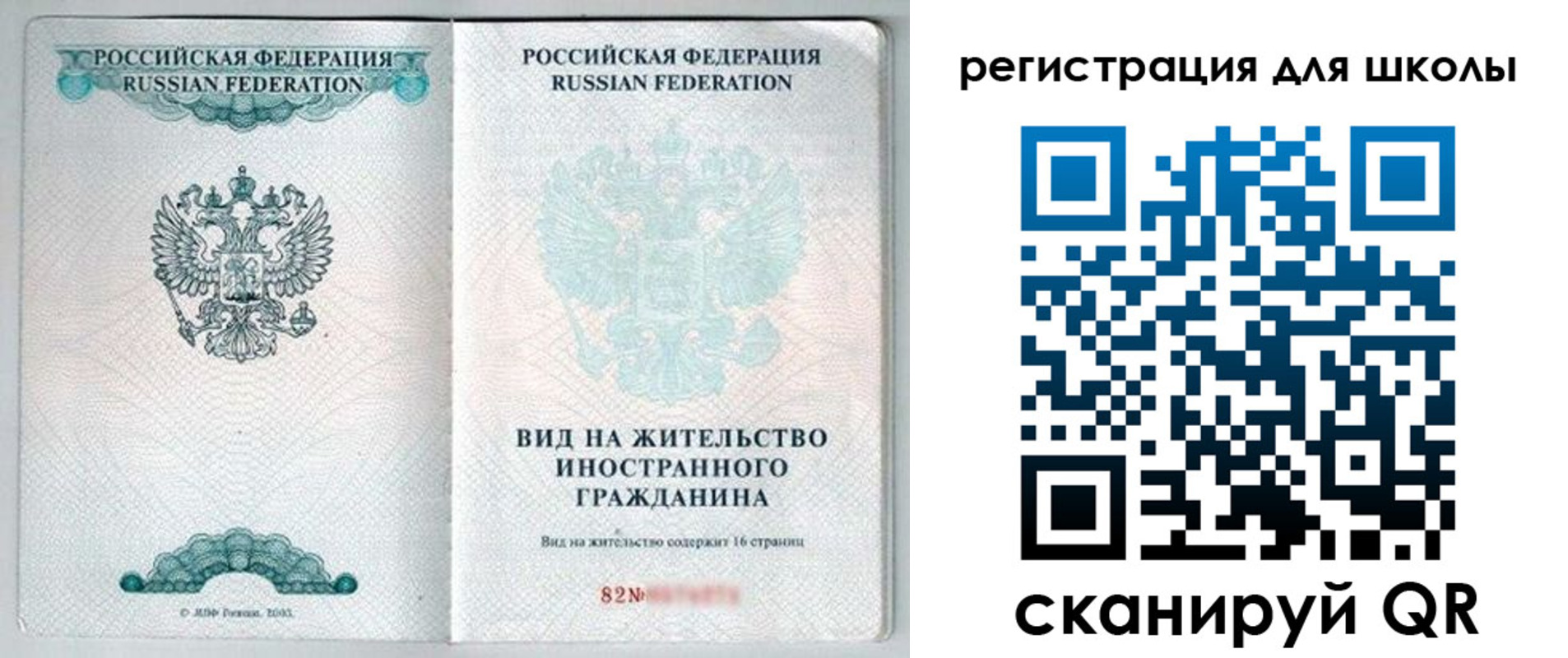прописка гарантия в Ростовской области
